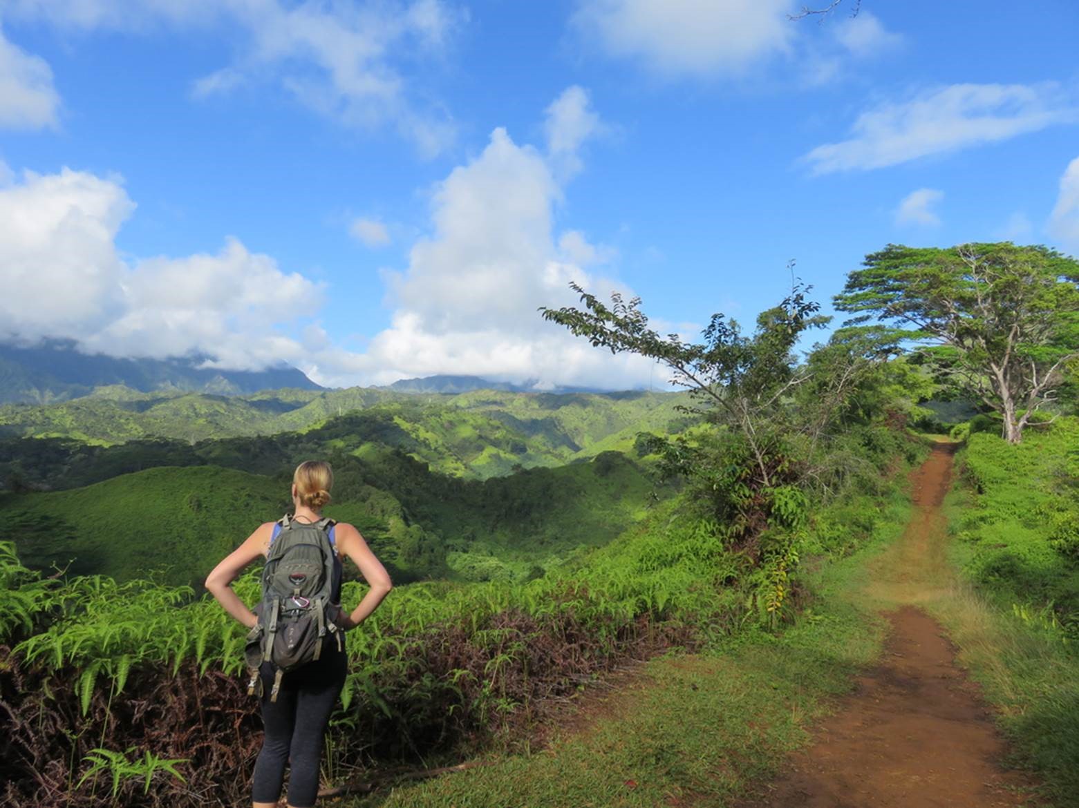 Product Private Customizable Hiking Tour