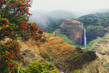 Product NaPali Coast Cliff Top Hike
